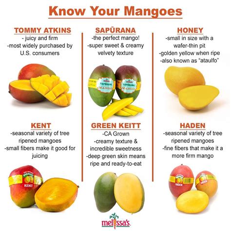 how to know if mango bag is original